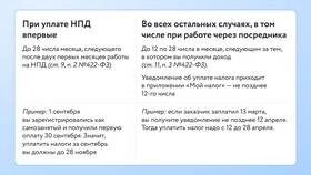 Как оформить самозанятость (НПД) в Кропп