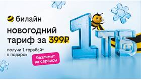 Как получить гигабайты на Билайн в Кропп
