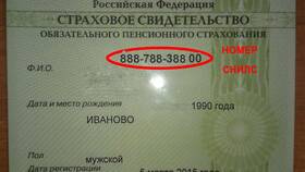 Как выглядит СНИЛС после смены в Кропп