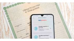 Почему Госуслуги не находят СНИЛС новорожденного в Кропп