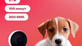 Сколько стоит самая дешевая SIM-карта МТС