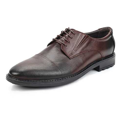 Туфли мужские Alessio Nesca 25807630 коричневые 41 RU в Кропп