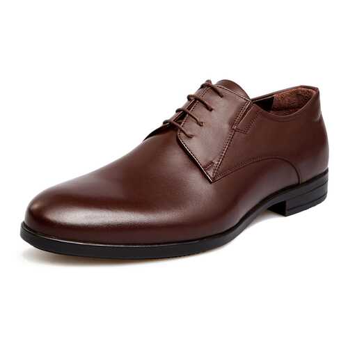 Туфли мужские Pierre Cardin 710018071 коричневые 41 RU в Кропп