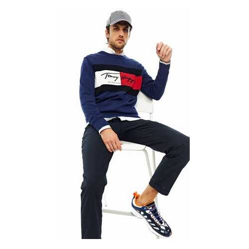 Джемпер мужской Tommy Hilfiger MW0MW14424 синий XL в Кропп